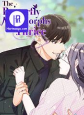 a-butterfly-metamorphoses-three-times_cover-1