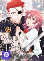 as-you-wish-prince_cover-1