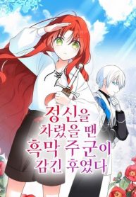 before-i-knew-it-i-had-stolen-the-dark-lords-heart_cover-1