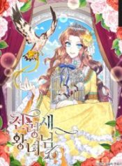 cavier-falcon-princess_cover-1