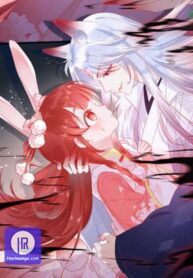 cynical-master-raises-rabbit-spirit_cover-1