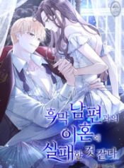 divorce-plan-with-husband-failed_cover-1