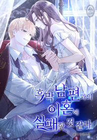 divorce-plan-with-husband-failed_cover-1