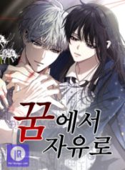 dreaming-freedom_cover-1