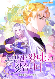 find-the-runaway-princess_cover-1