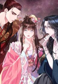 heeran-love-song_cover-1