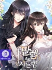 how-to-live-at-the-max-level_cover-1