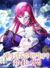 how-to-perfectly-end-a-contract-marriage_cover-2