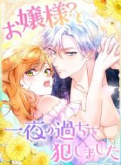 i-committed-a-one-night-mistake-with-the-young-lady_cover-1