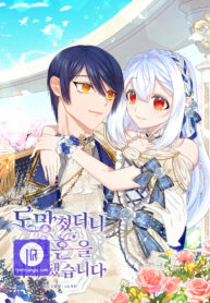 i-ran-away-and-got-married_cover-1