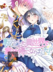 i-was-reborn-as-a-housekeeper-in-a-parallel-world_cover-1