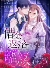 if-i-pay-the-whole-debt-will-you-accept-the-divorce_cover-1