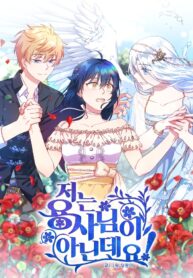 im-not-a-warrior_cover-1