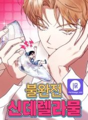 imperfect-cinderella-story_cover-1