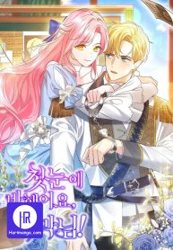 it-was-love-at-first-sight-mr-villain_cover-1