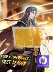 keep-a-low-profile-sect-leader_cover-1