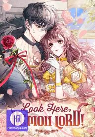 look-here-demon-lord_cover-1