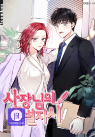 married-to-my-boss_cover-1