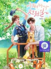 my-accidental-country-life_cover-1