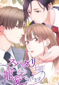 my-boss-the-ideal-man-dotes-on-me_cover-1