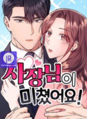 my-crazy-boss_cover-1