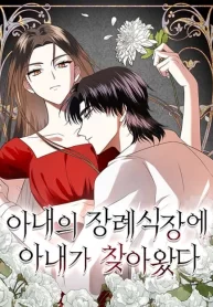 my-wife-appeared-at-my-wifes-funeral_cover-1