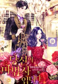 my-wizard-my-destiny_cover-1