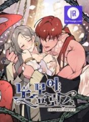 no-more-prince_cover-1