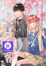 peach-branch-bubbles_cover-1