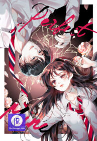 perfect-mine_cover-1