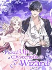 picked-up-by-a-mysterious-wizard_cover-2