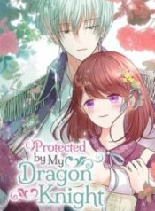 protected-by-my-dragon-knight_cover-1