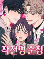 pure-love-operation_cover-1