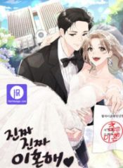 really-truly-getting-a-divorce_cover-1