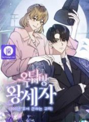 rooftop-prince_cover-1