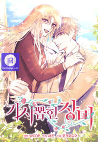 rose-without-thorns_cover-1