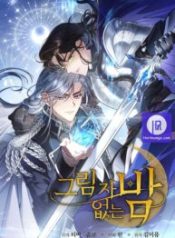 shadowless-night_cover-1