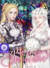 she-no-longer-wields-her-sword_cover-1