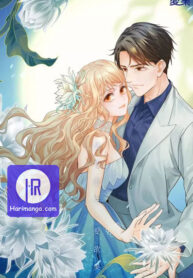 silkflower-fantasy-dream_cover-1