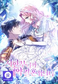 since-my-time-is-limited-im-entering-a-contract-marriage_cover-1