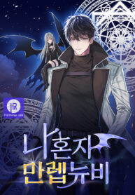 solo-max-level-newbie_cover-1