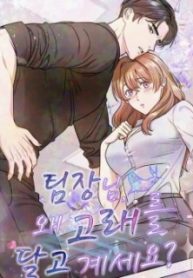 team-leader-why-are-you-carrying-a-whale_cover-1