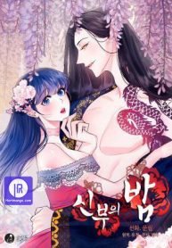 the-bridal-night_cover-1