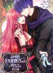 the-evil-cinderella-needs-a-villain_cover-1