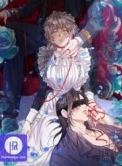 the-gray-maid_cover-1