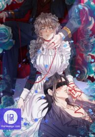 the-gray-maid_cover-1