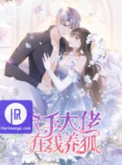 the-killer-boss-is-raising-a-fox_cover-1