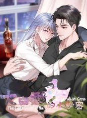 the-little-secret-of-the-big-white-goose_cover-1