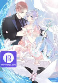 the-mermaid-wears-a-dress_cover-1