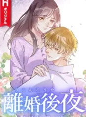 the-night-after-the-divorce_cover-1